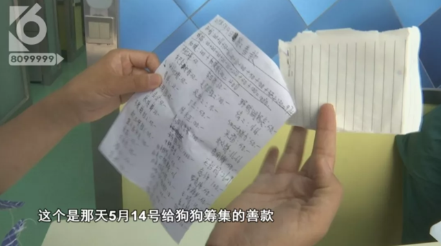 令人发指!宠物狗被砍3刀,还在伤口上撒辣椒面