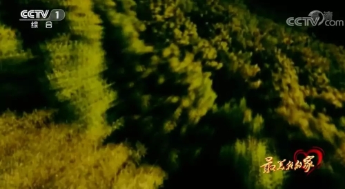 640.webp (1) 640.webp (1)