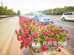 23771558285380525 23771558285380525