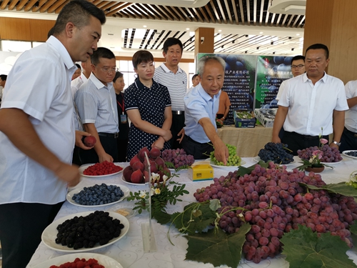 会与领导考察特色旅游商品品质与销售情况.jpg