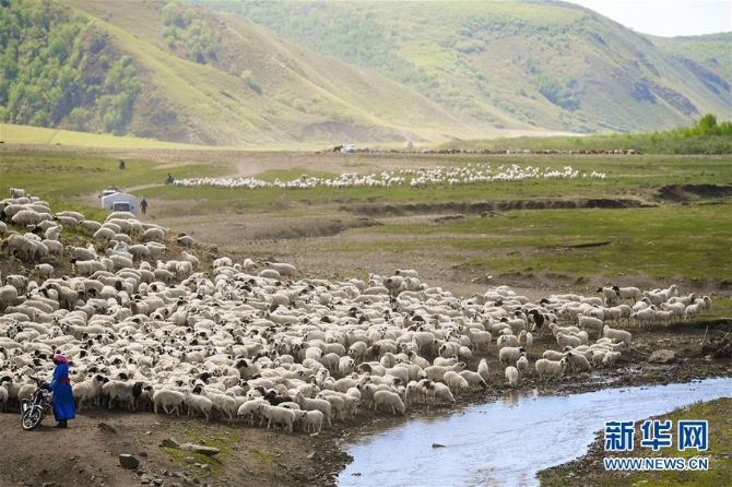 1124574547_15594847175241n 1124574547_15594847175241n