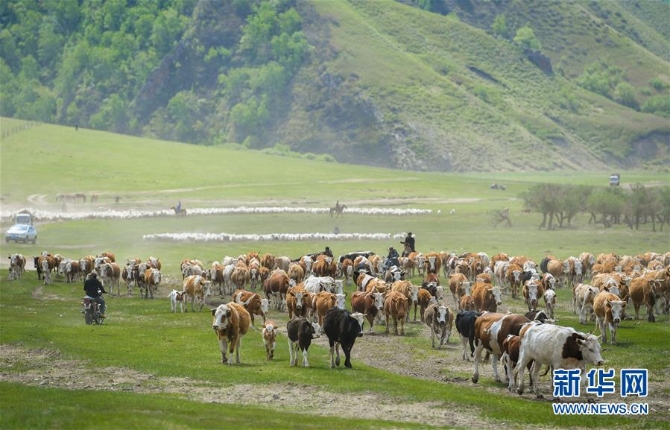 1124574547_15594847176371n (1) 1124574547_15594847176371n (1)