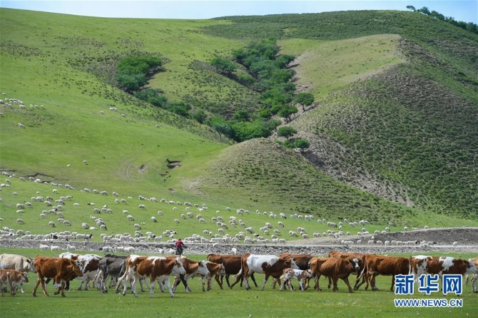 1124574547_15594847174921n (1) 1124574547_15594847174921n (1)