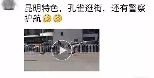 640.webp (1) 640.webp (1)