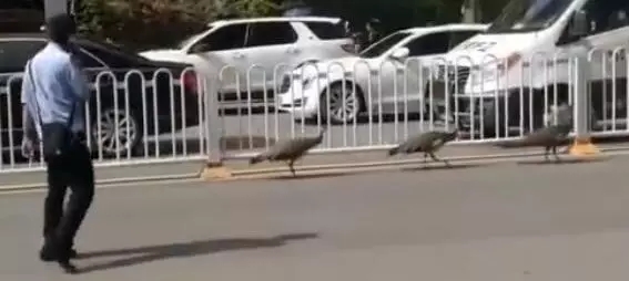 640.webp (3) 640.webp (3)