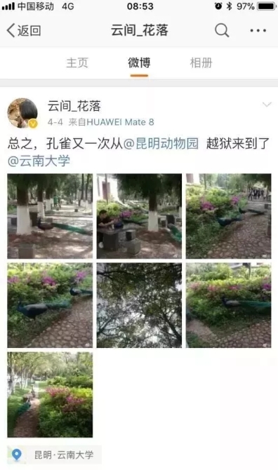 640.webp (11) 640.webp (11)