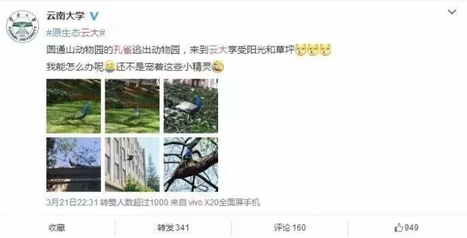 640.webp (13) 640.webp (13)