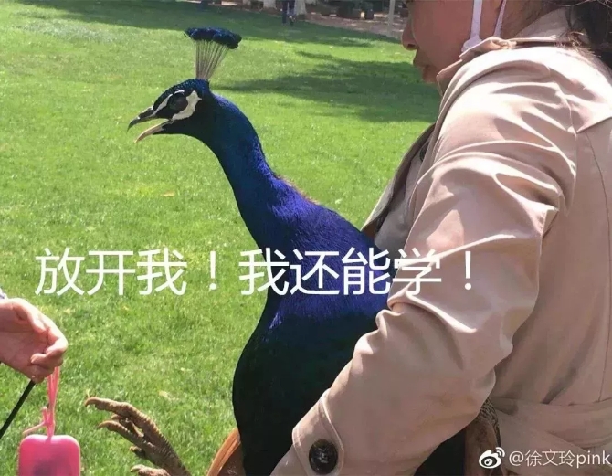 640.webp (16) 640.webp (16)