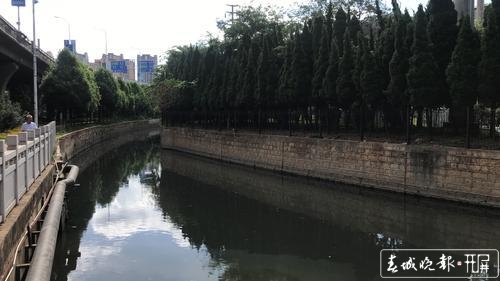 河水污浊似“墨汁”1.jpg