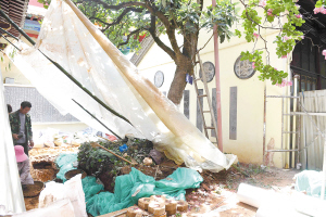 97061560966608626 97061560966608626