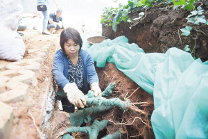 89191560966608610 89191560966608610