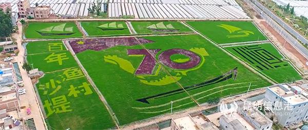 投稿作品截图1 投稿作品截图1