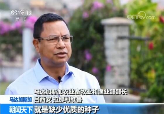 点击观看视频