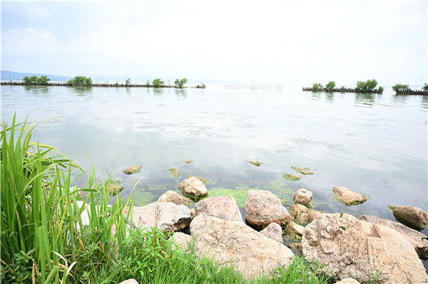 南滇池国家湿地公园