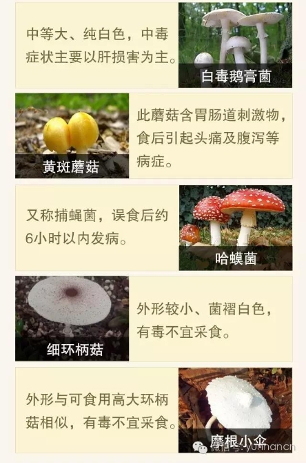 00300734548_e5bfaa07 00300734548_e5bfaa07