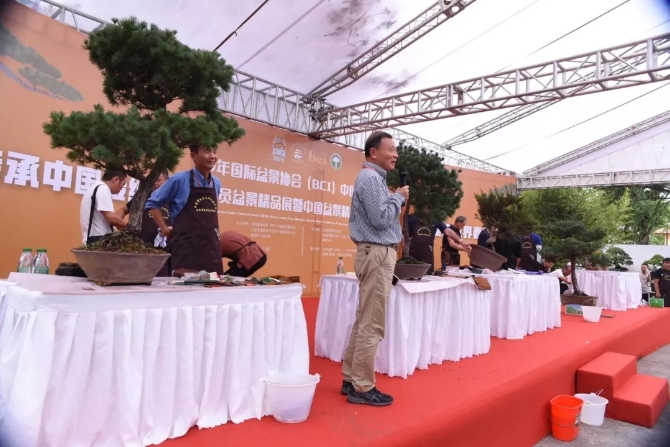 640.webp (53) 640.webp (53)