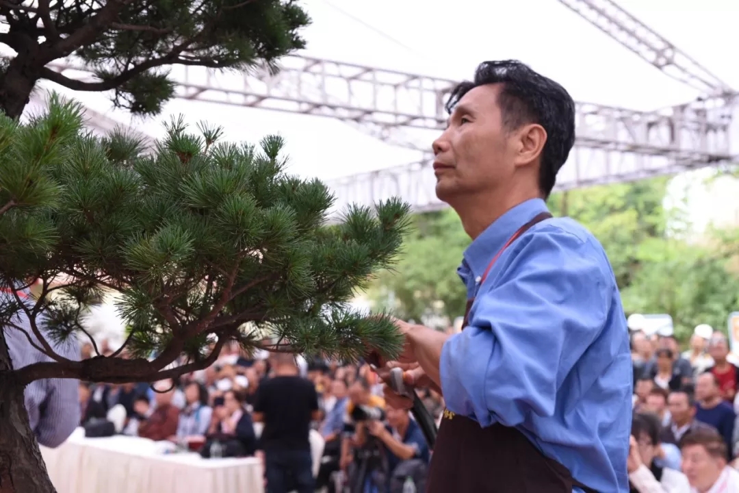 中国台湾地区盆景大师—罗民轩.webp