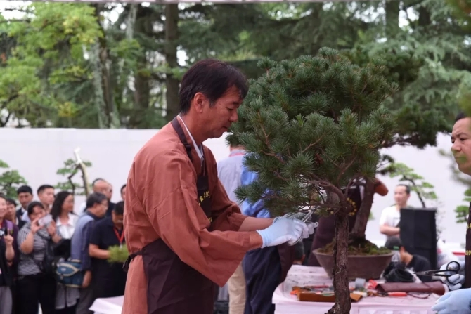 日本盆景大师—吹田勇雄.webp 日本盆景大师—吹田勇雄.webp
