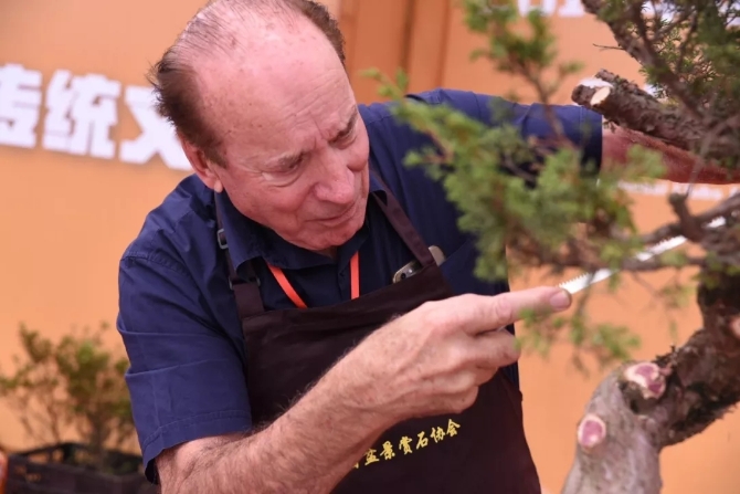 世界盆景友好联盟主席—林赛·贝博.webp 世界盆景友好联盟主席—林赛·贝博.webp