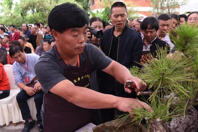 中国盆景大师—吴德军.webp 中国盆景大师—吴德军.webp