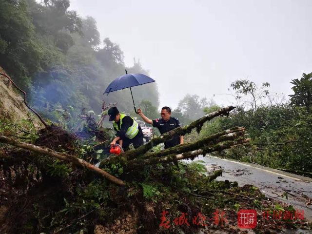 高黎贡山风雪丫口