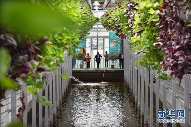 (新华全媒头条·上半年经济数据透视·图文互动)(4)稳中有进 坚定前行——透视中国经济“半年考”答卷