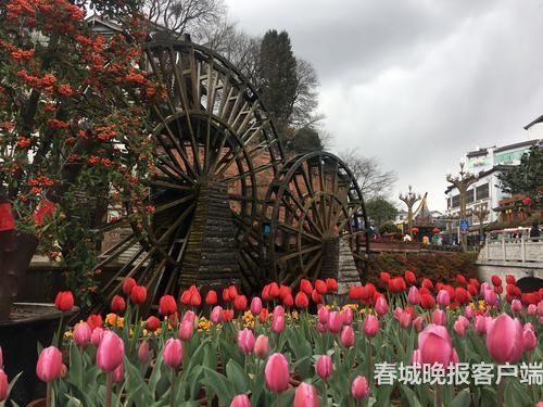 丽江：建世界一流旅游目的地4木晓雯摄