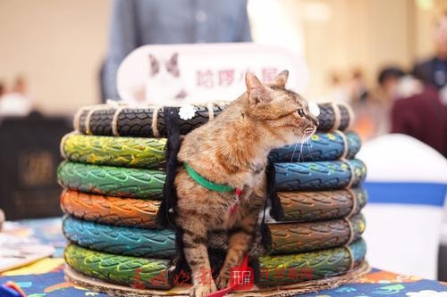 binary_middle (3).jpg