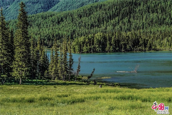 cb38e0bc-97e1-4aa6-a68e-c8c99426336c_watermark cb38e0bc-97e1-4aa6-a68e-c8c99426336c_watermark