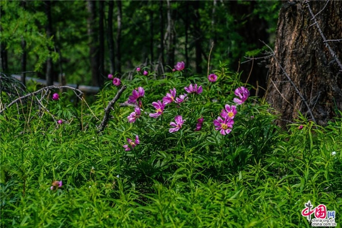 be5d00a9-8ec2-4754-b5d6-94456defeb29_watermark be5d00a9-8ec2-4754-b5d6-94456defeb29_watermark