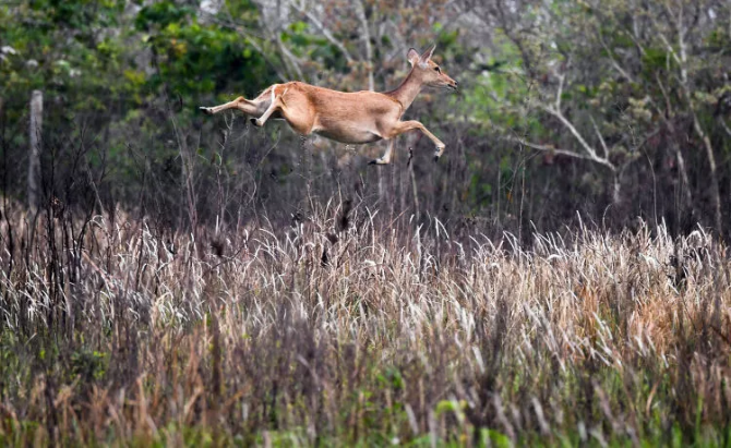 海南，你怎么这么好看！