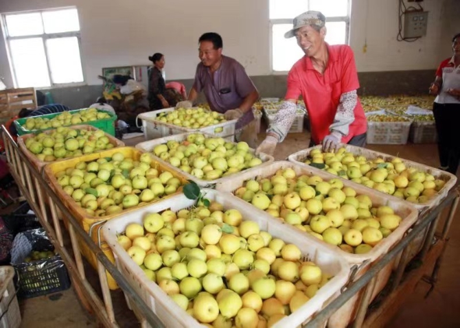 5e422560a409f1153d885d67fad4679 5e422560a409f1153d885d67fad4679