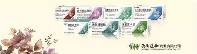 云植药业抗肿瘤药物产品集群.webp