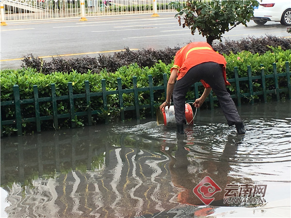 00300805134_8af8267e