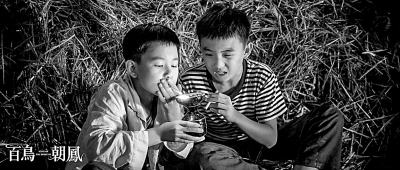 艺术电影叫好也要叫座 艺术电影叫好也要叫座