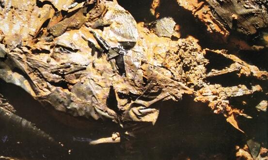 刀光剑影：盘点刘贺墓中的汉代兵器