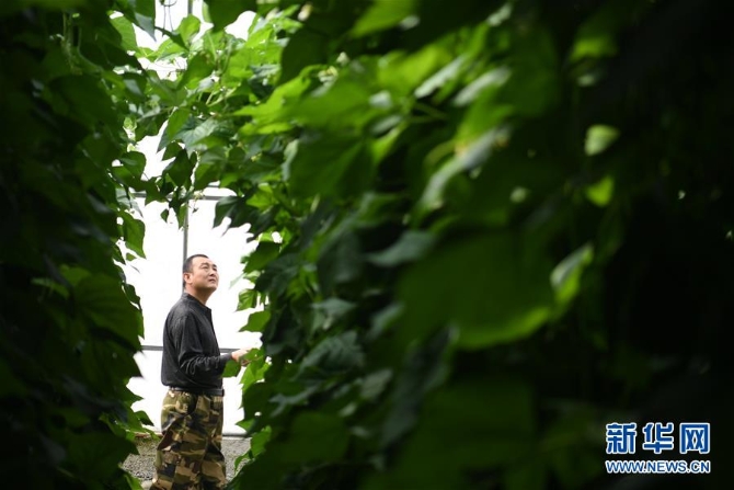 (壮丽70年·奋斗新时代——共和国发展成就巡礼·图文互动)(7)以“绿色”身姿站上发展前沿——甘肃绿色转型发展纪实