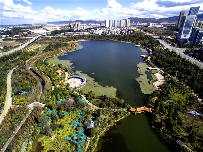 图片4 洛龙湖全景。