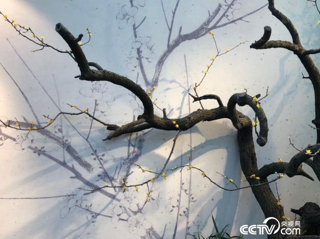 （刘禛 摄影）