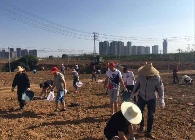 微信图片_201908081638223