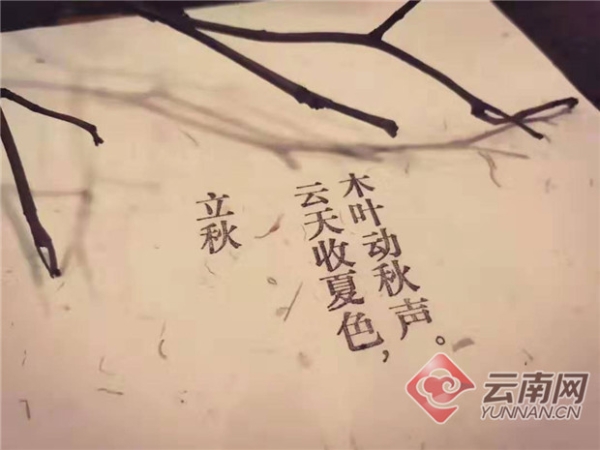 00300827029_8c5c9bfe 00300827029_8c5c9bfe