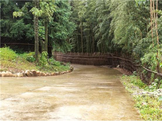 社区道路改造后。记者刁凤云摄