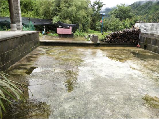 边民周成林家整洁的小院。记者刁凤云摄