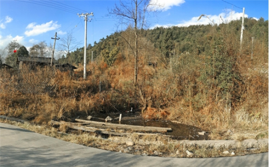 水池改造前。供图