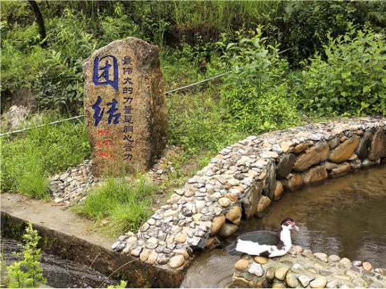 水池改造后。记者刁凤云摄