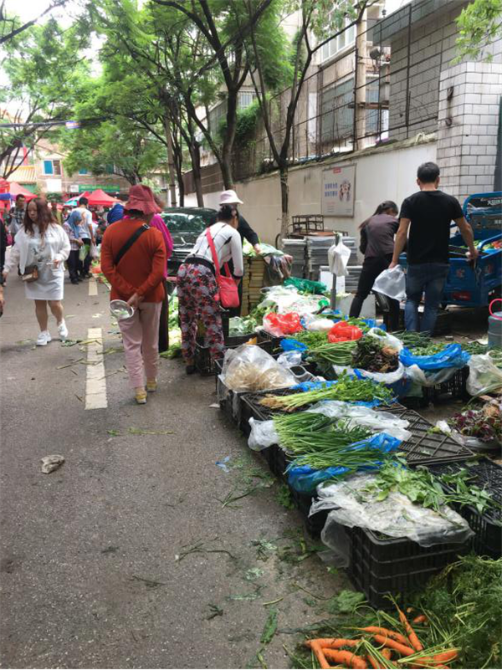 商贩占道经营 商贩占道经营