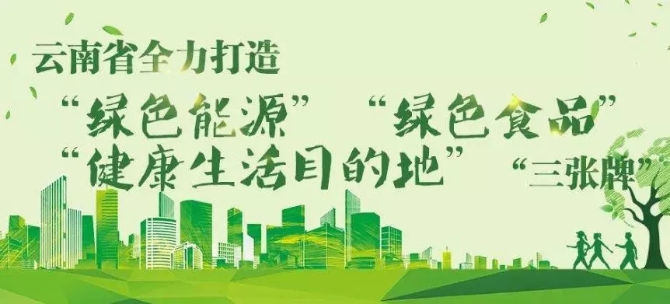 三张.webp 三张.webp