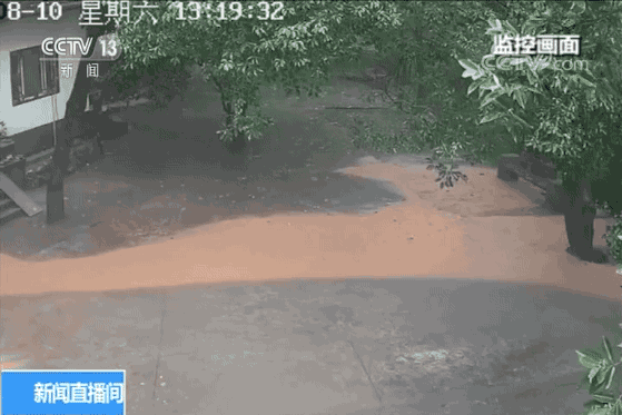 50多人正在饭店吃饭,老板突然说“别吃了,赶紧走!”