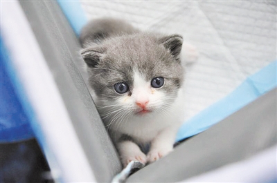 ad0613b3-7f7c-4151-8fc4-34c614f160de ad0613b3-7f7c-4151-8fc4-34c614f160de