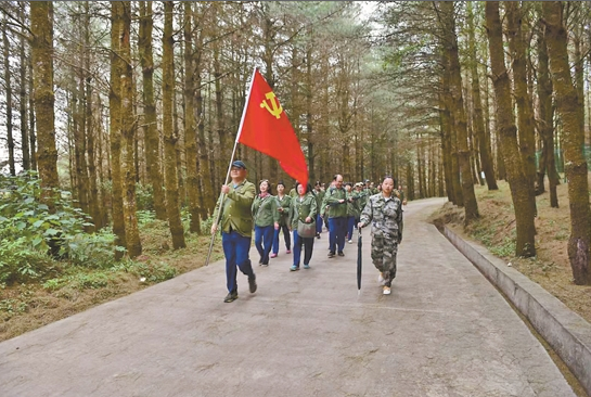 QQ截图20190822075718